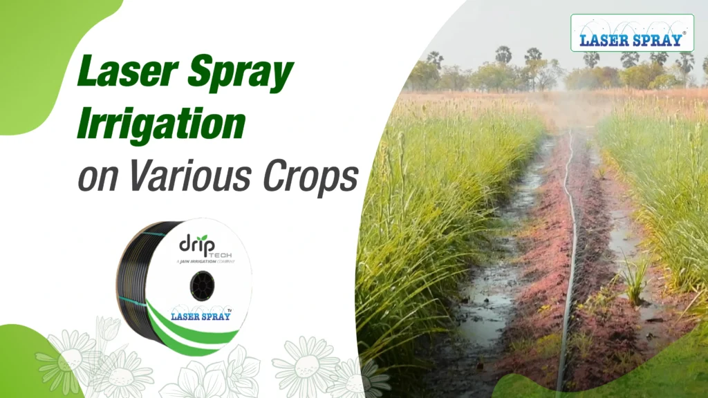 Rain Pipe Irrigation Rain Hose Irrigation