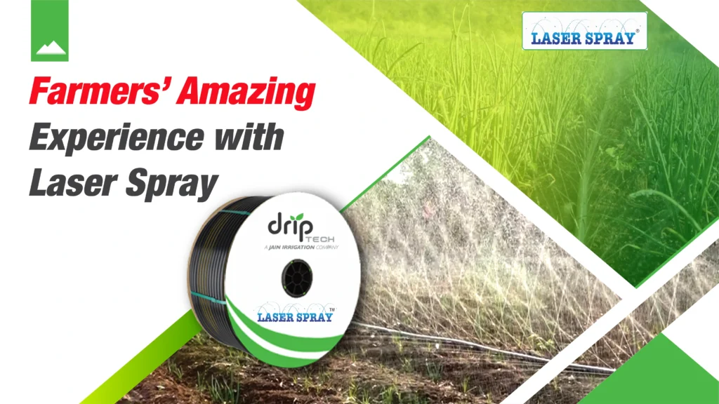 Laser Spray vs Rain Pipe Irrigation