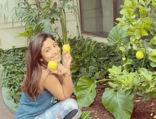 Rain Pipe Irrigation watering