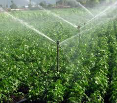 Sprinkler Irrigation Driptech