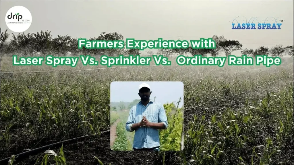 Rain Pipe vs Sprinkler Irrigation