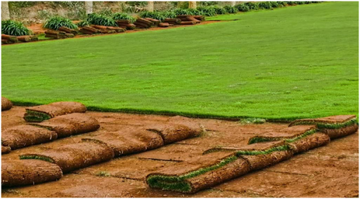 Lawn Grass Irrigation with Rain Pipe